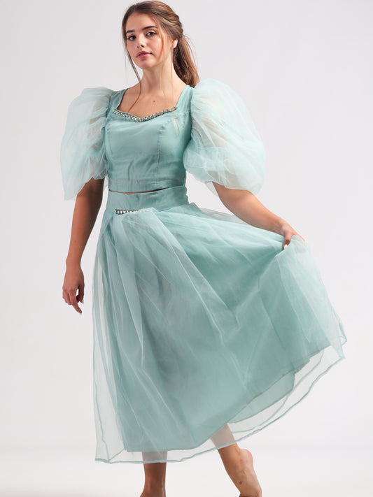 Fairy Blue Embellished Tulle Skirt & Blouse